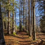 20241103 Ferchensee Elmau 2