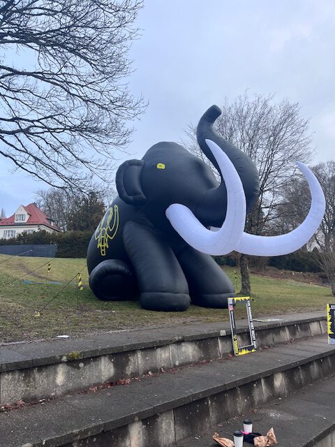 Mammutmarsch 2026 – Der SV Dornach hat 8 neue Mammuts